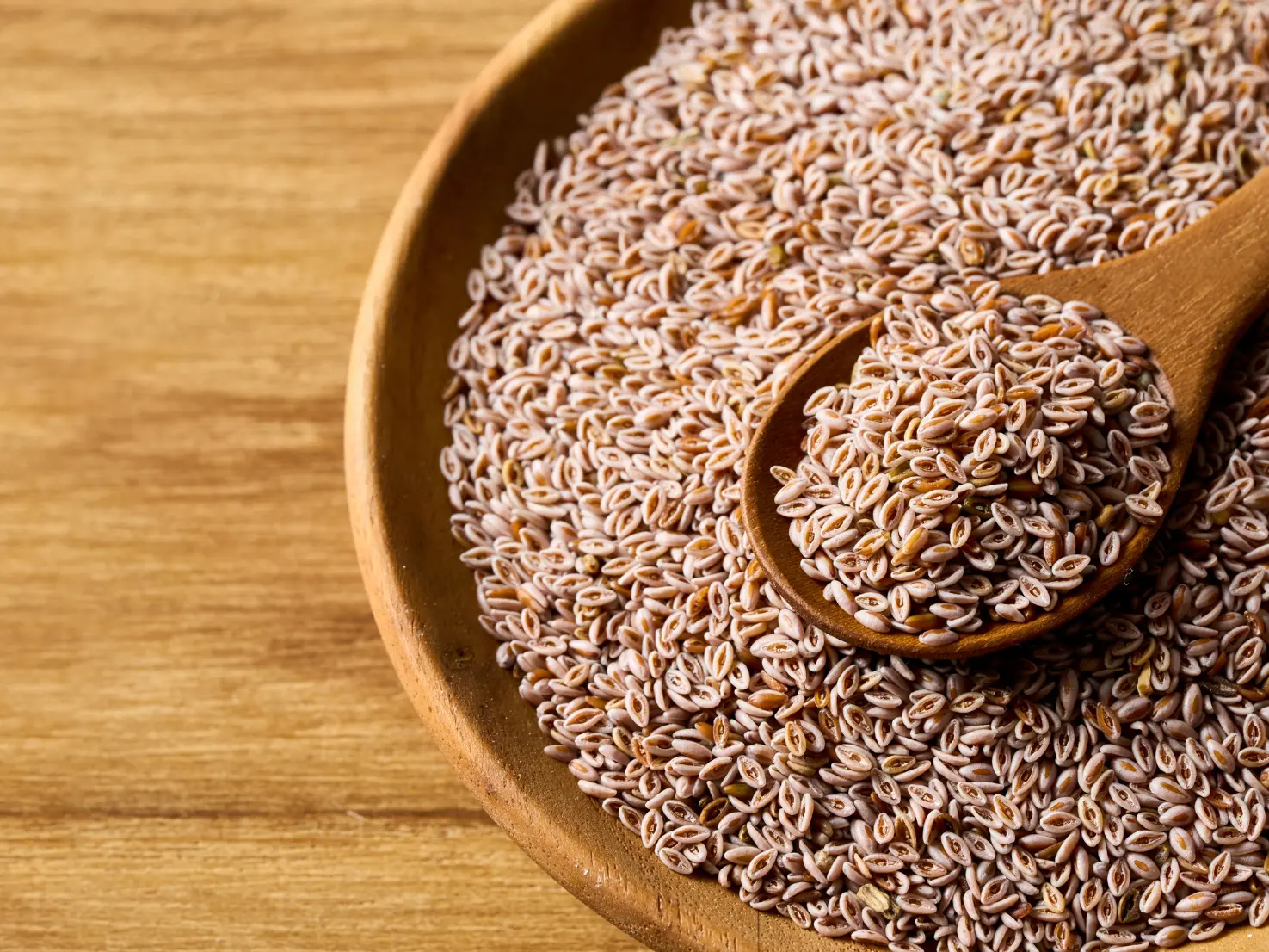 Psyllium-Seeds